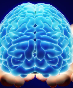 A person holding a blue brain in their hands.
