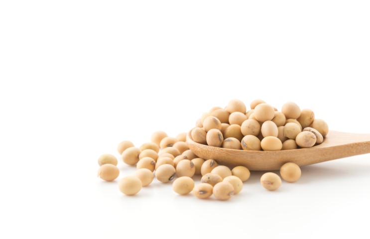 A bowl of soybeans on top of some beans.